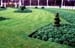 London-Green_Grass_at_Buckingham_Palace